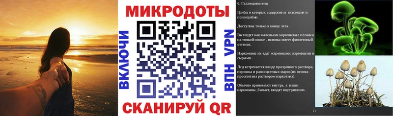omg ТОР  где купить наркоту  Красный Кут  Галлюциногенные грибы MAGIC MUSHROOMS 